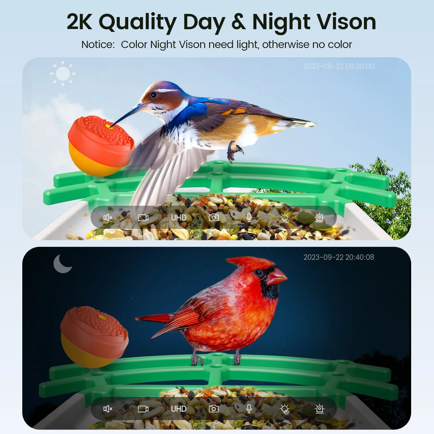 Smart Bird Feeder Wireless Night Vision Camera