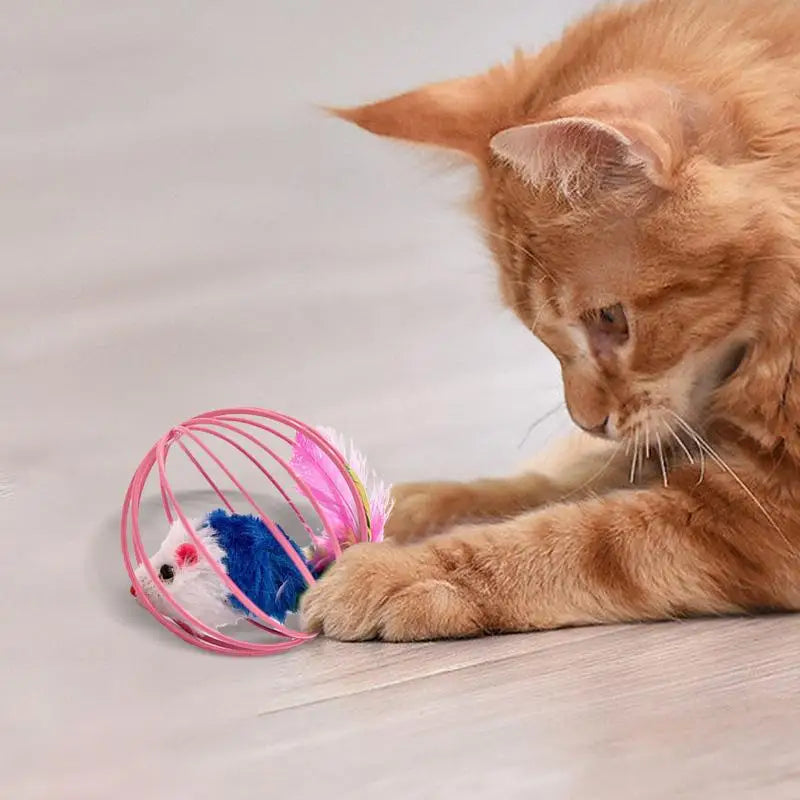 Cat Ball Toy 4pcs