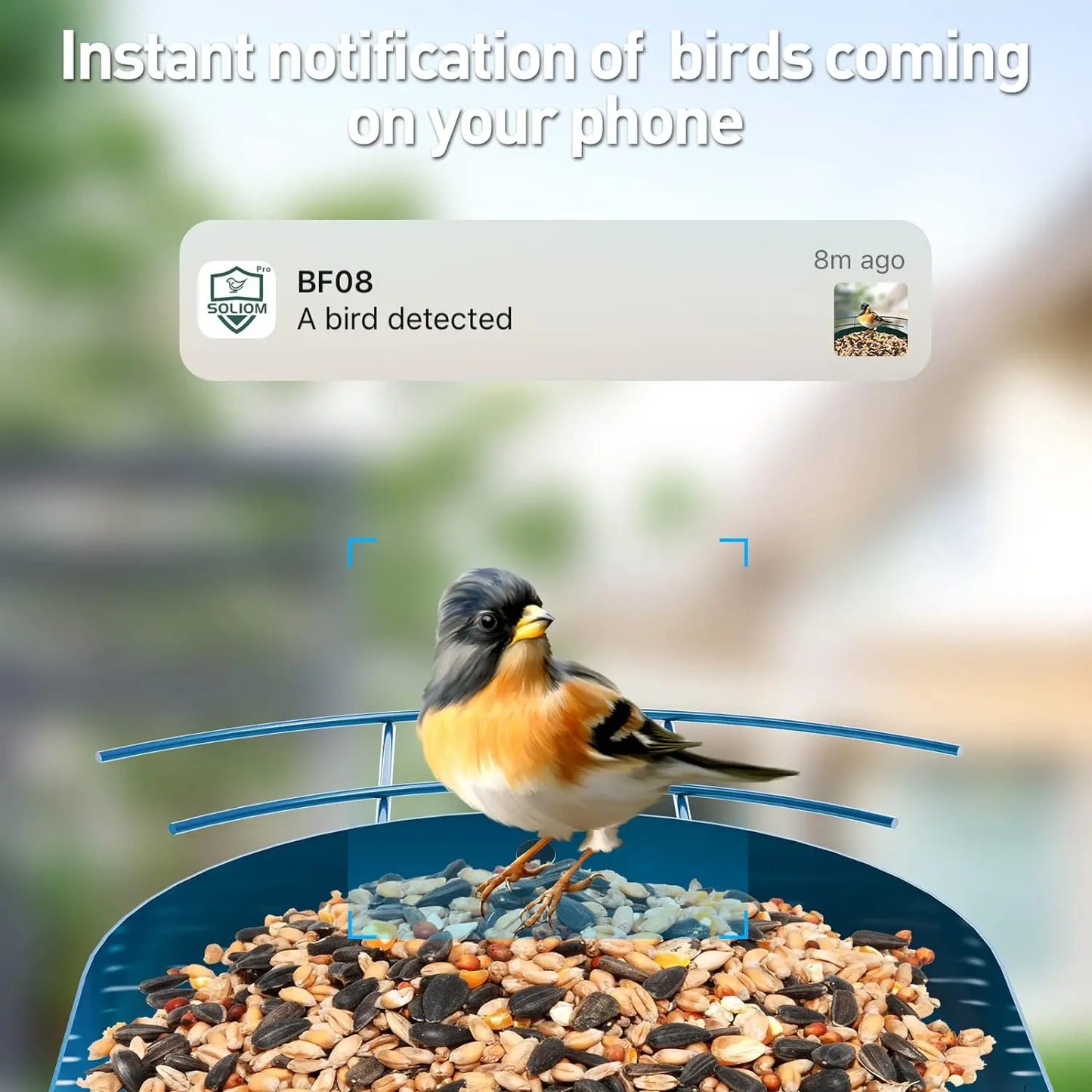 Bird Camera 1080P Smart Bird Feeder