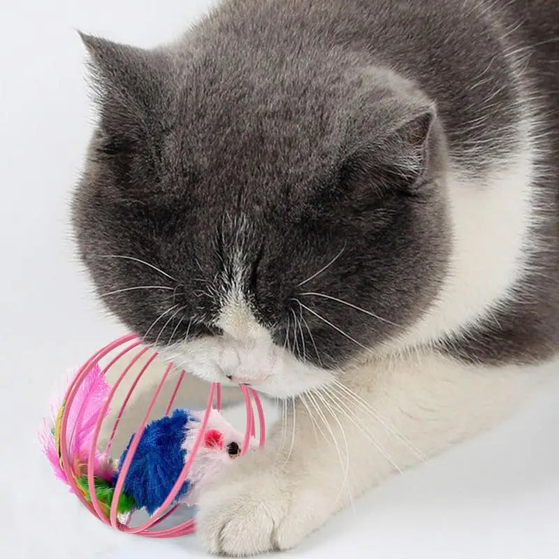 Cat Ball Toy 4pcs