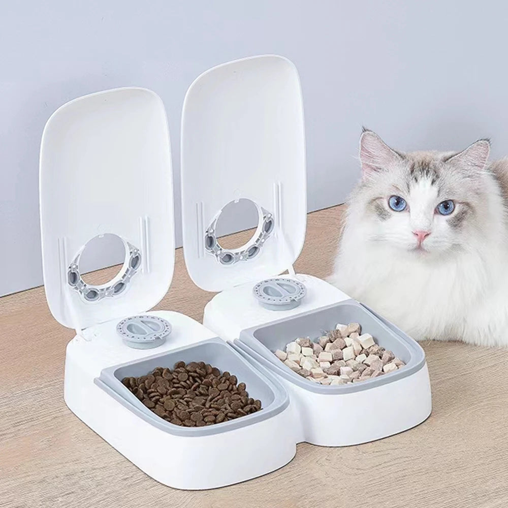 48-hour Smart Timing Feeder Small Cat/Dog