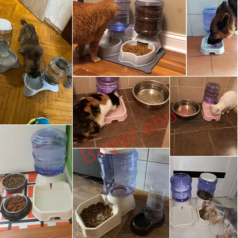 Automatic Pet Feeder Waterer