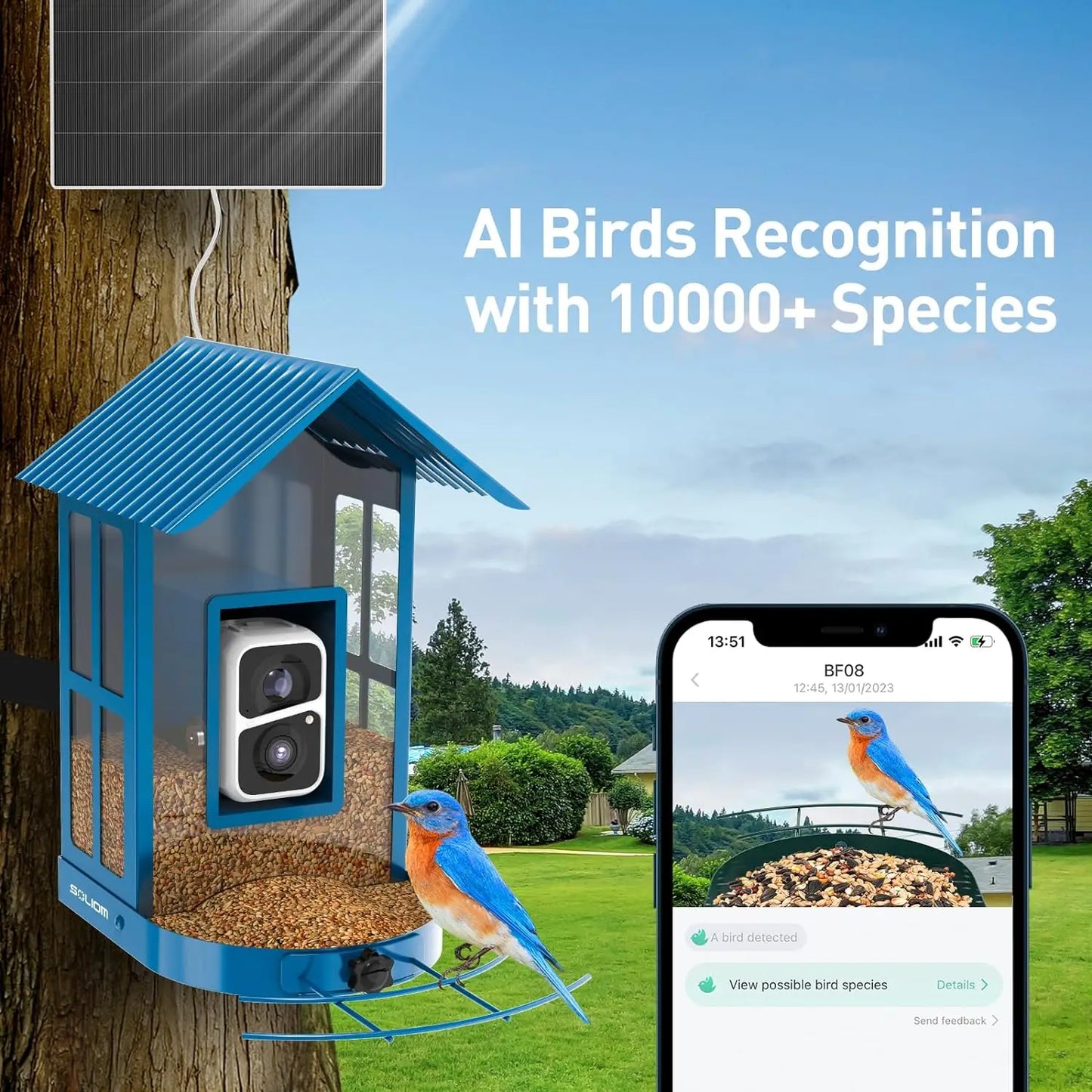 Bird Camera 1080P Smart Bird Feeder